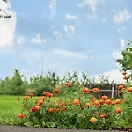 Апартаменты Ellenweiler Bis 15 P Фридрихсхафен