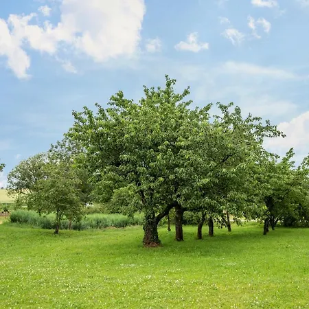 Apartment Ellenweiler Bis 15 P Friedrichshafen