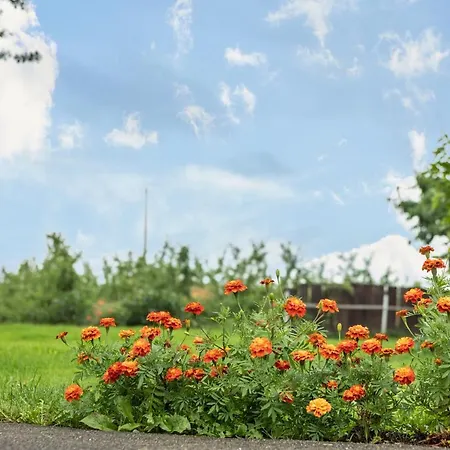 Apartment Ellenweiler Bis 15 P Friedrichshafen